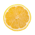 102_Lemon_Varietal-1_Eureka-Lisbon_slice-thumbnail.png