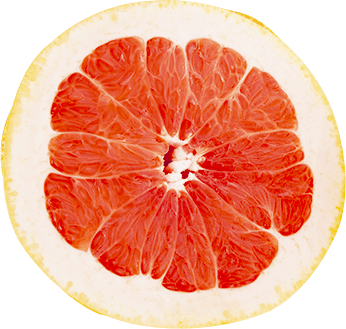GrapeFruit_Updated-foodservice.png