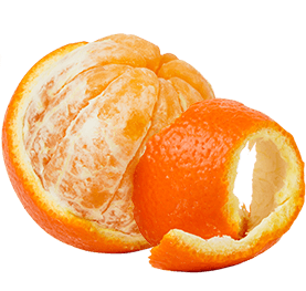 OurCitrus_tangerine.png
