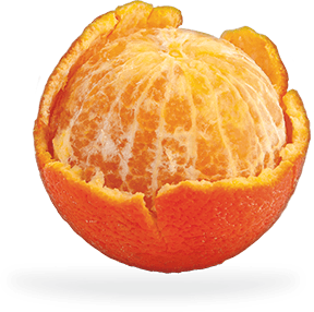 mandarins-foodservice1.png