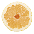 104_Grapefruit_Varietal-White_slice-thumbnail.png
